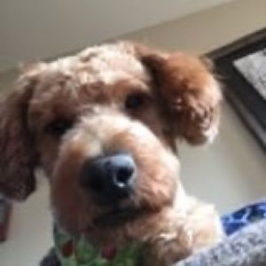 Meet your Posher, Sawyer